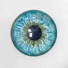 #1 Blue