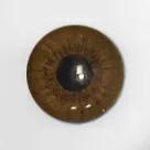#3 Brown