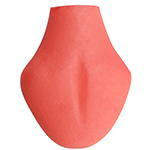 Removable Tongue color 02 +JPY ¥ 4,500