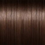 Chestnut +JPY ¥ 21,500