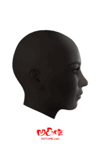 Aotume Doll : Single Head