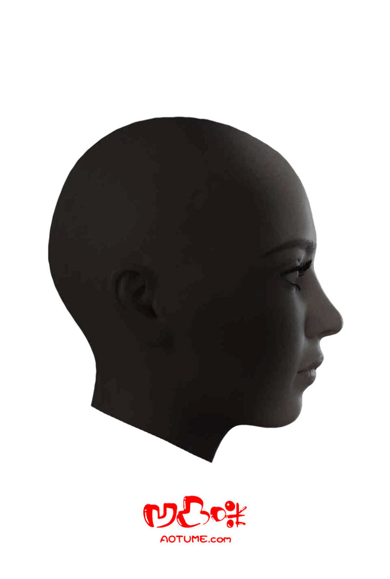 Aotume Doll : Single Head