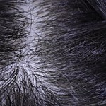 Flocking Hair Black (Human Hair) +JA ¥ 53,150
